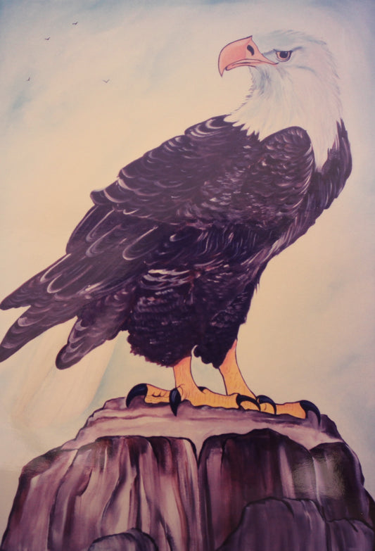 Eagle Eyes